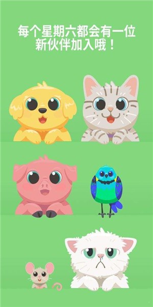 猫猫出来截图1