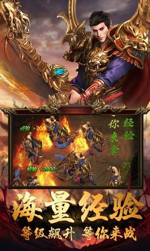 激战传奇截图2