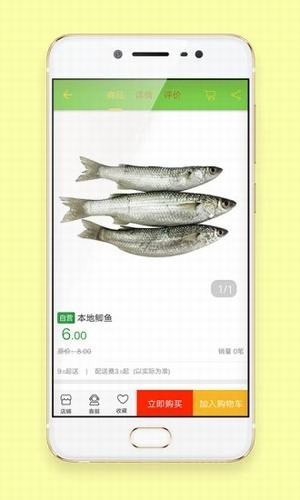 鲜蜂截图1
