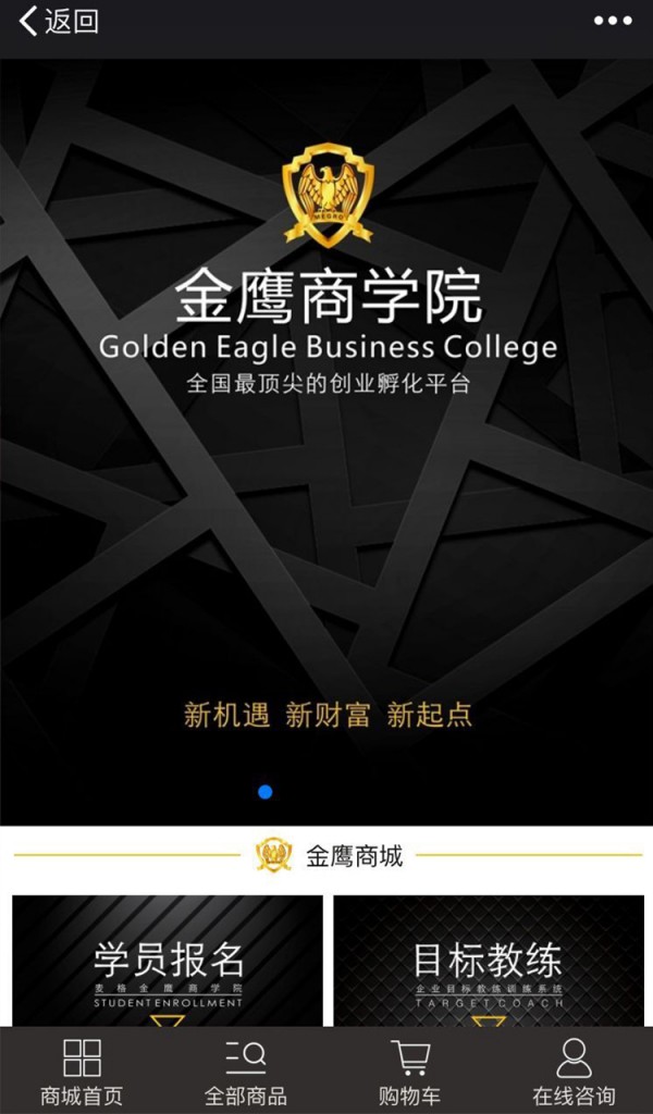 麦格顾问截图3