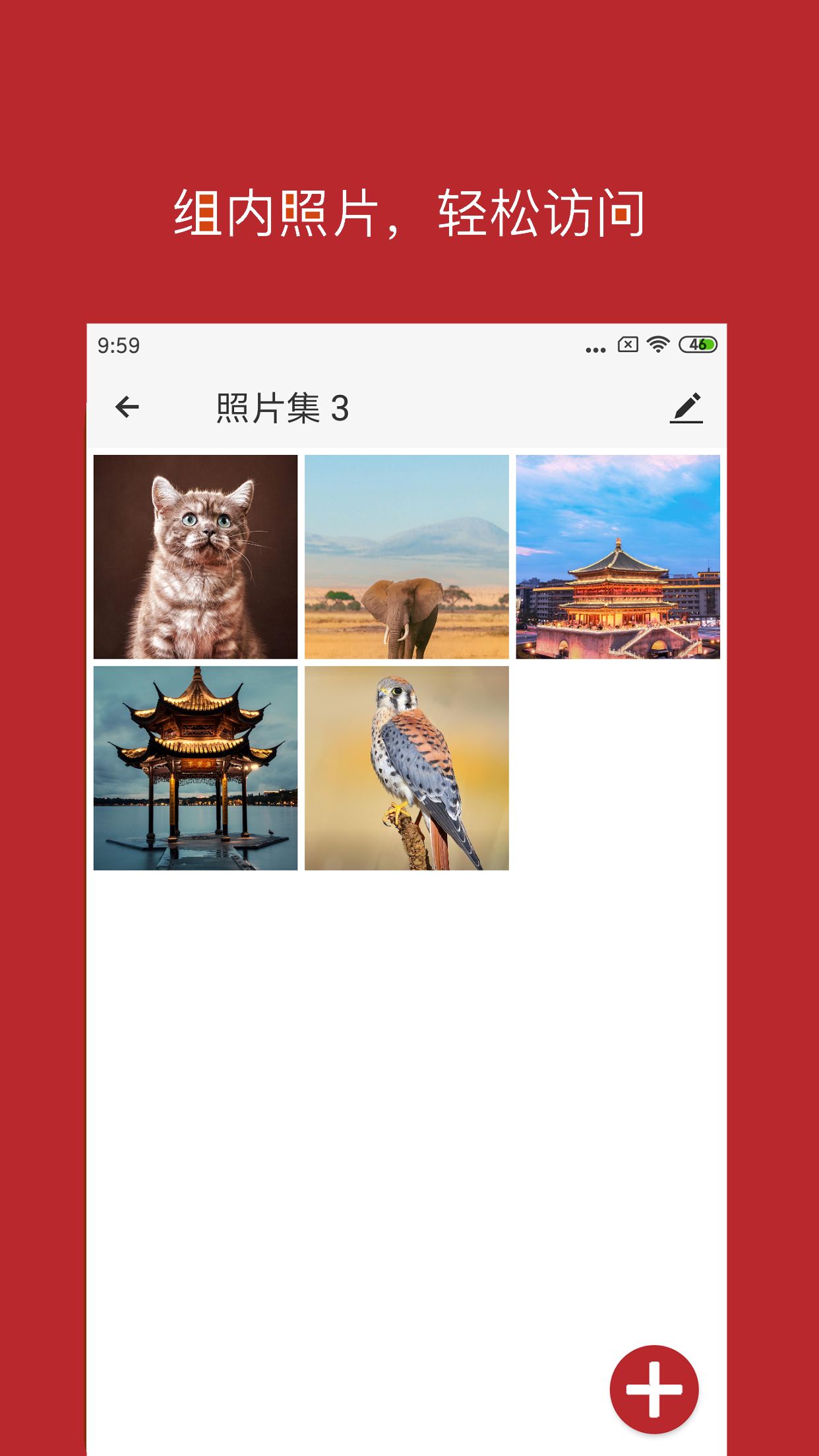 月犬云盾截图4