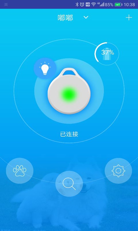 中恒宠物截图3
