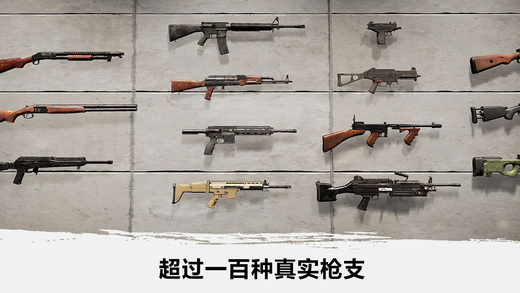 吃鸡升级截图2