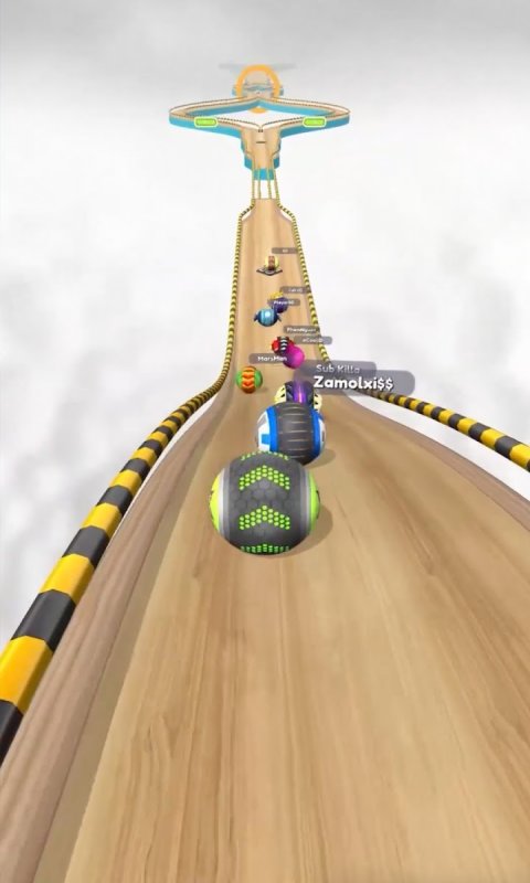 球球赛跑截图3