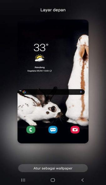 新兔子壁纸截图3