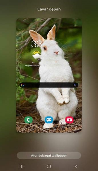 新兔子壁纸截图2