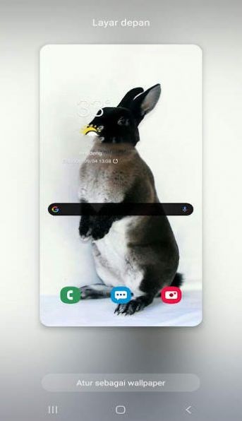 新兔子壁纸截图1
