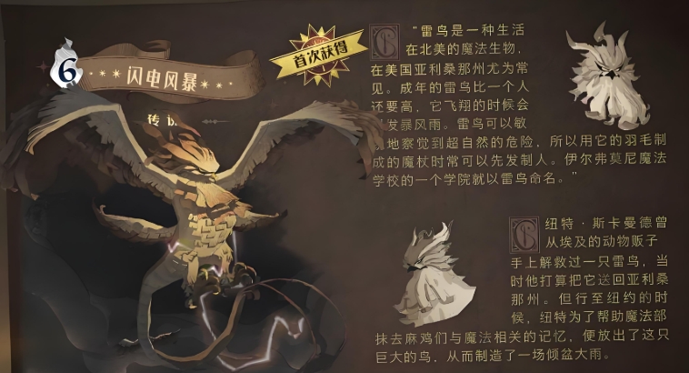 哈利波特魔法觉醒实用卡组有哪些