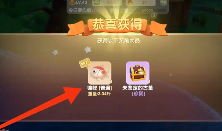 摩尔庄园怎么钓锦鲤
