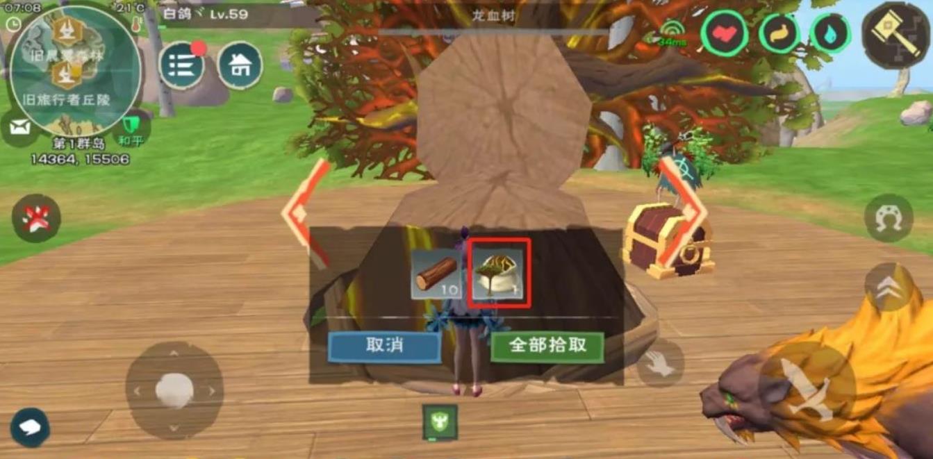 创造与魔法龙血树有什么用
