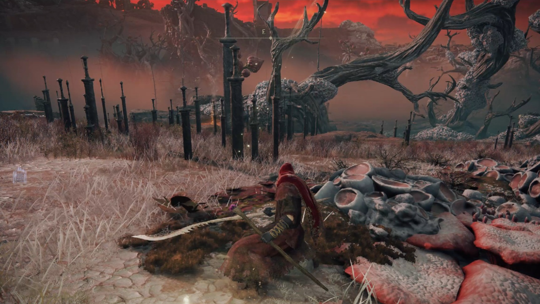 艾尔登法环外神在哪