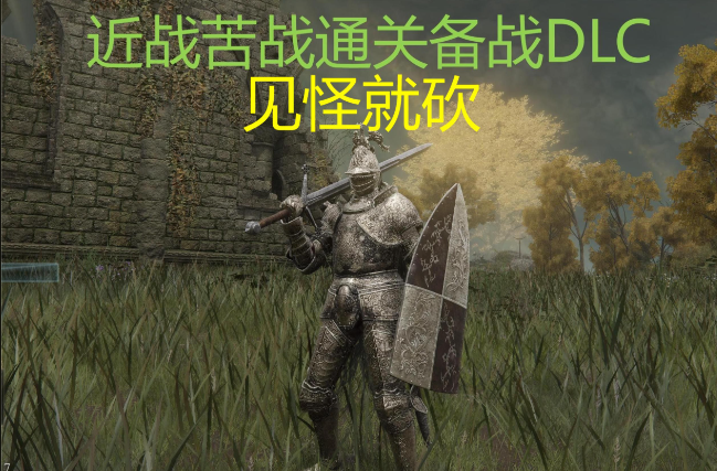 艾尔登法环主流流派怎么加点