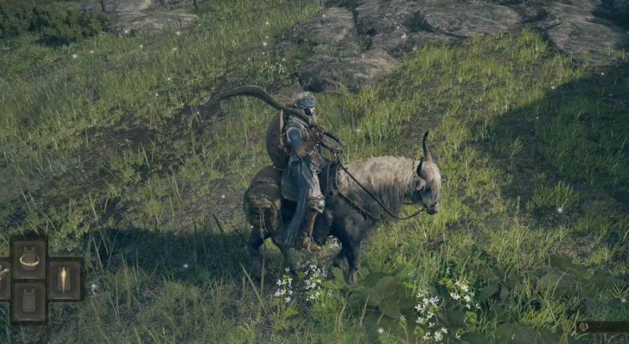 艾尔登法环怎么骑马