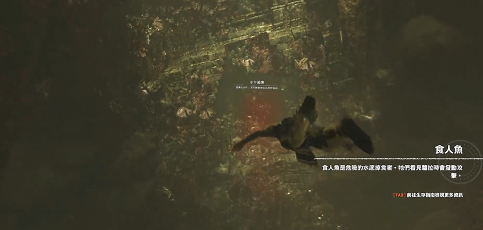 古墓丽影水底有食人鱼怎么过
