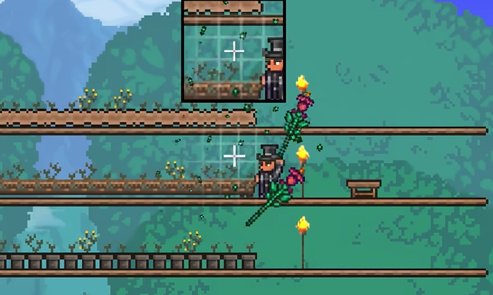 泰拉瑞亚种的种子怎么收种子