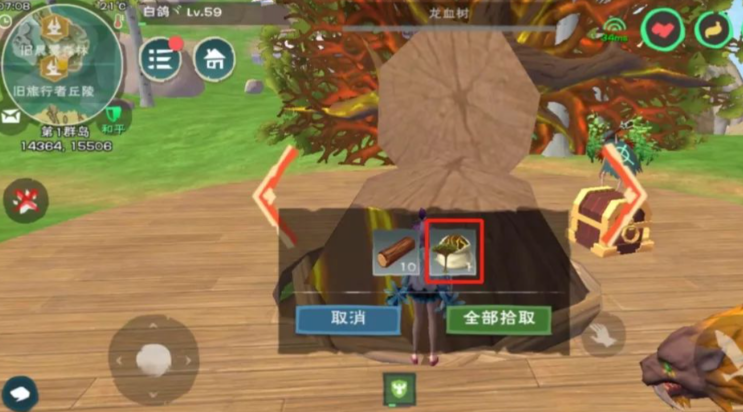 创造与魔法龙血树在哪里