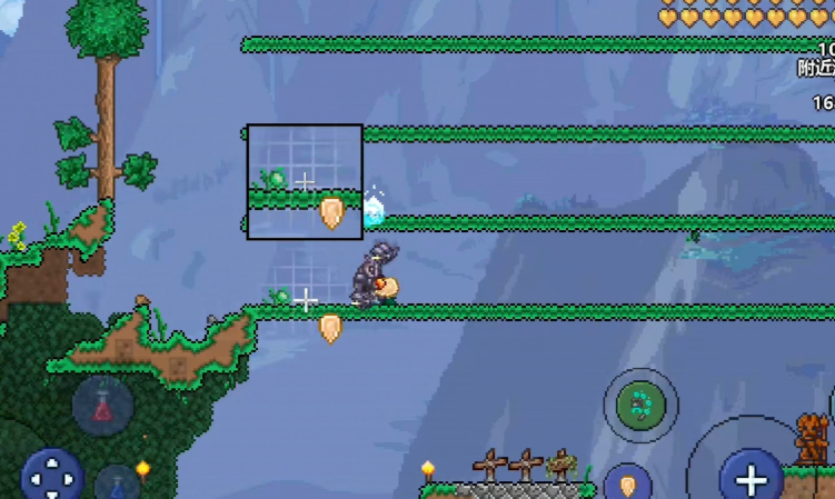 泰拉瑞亚怎么让种子快速生长