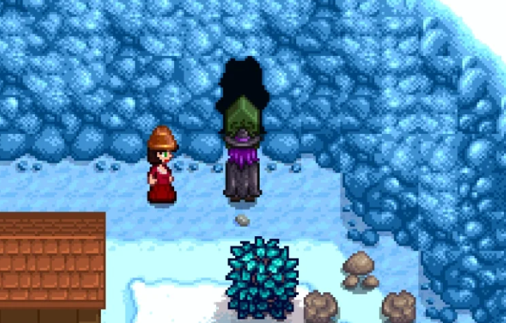 星露谷物语法师怎么找